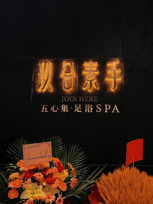 海乐世界玖合开新店啦黑武士风格❓